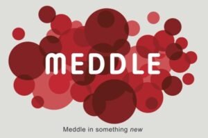 Meddle